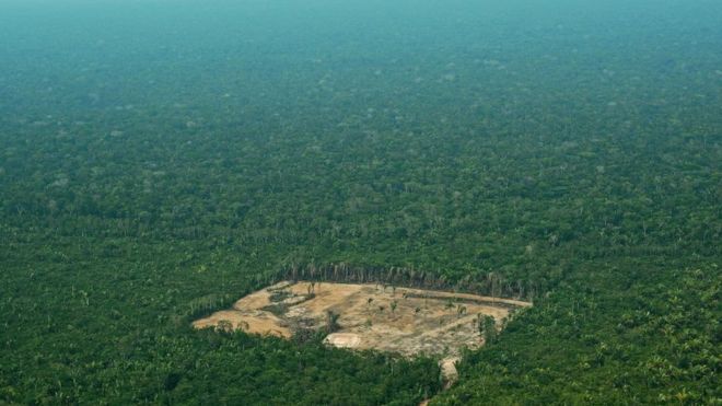 Deforestation is happening in the Amazon at an alarming rate.