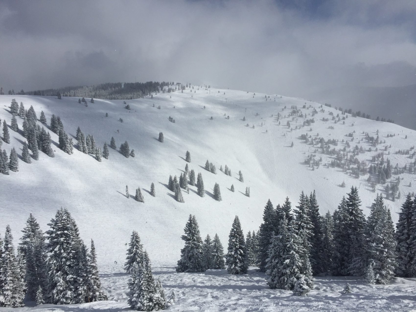 Yunlong Chen, remains, vail, back bowls, colorado, skeletal