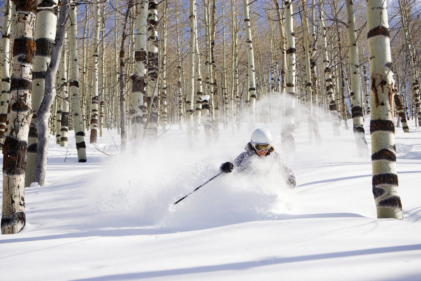 Powder Mountain Tree Skiing 