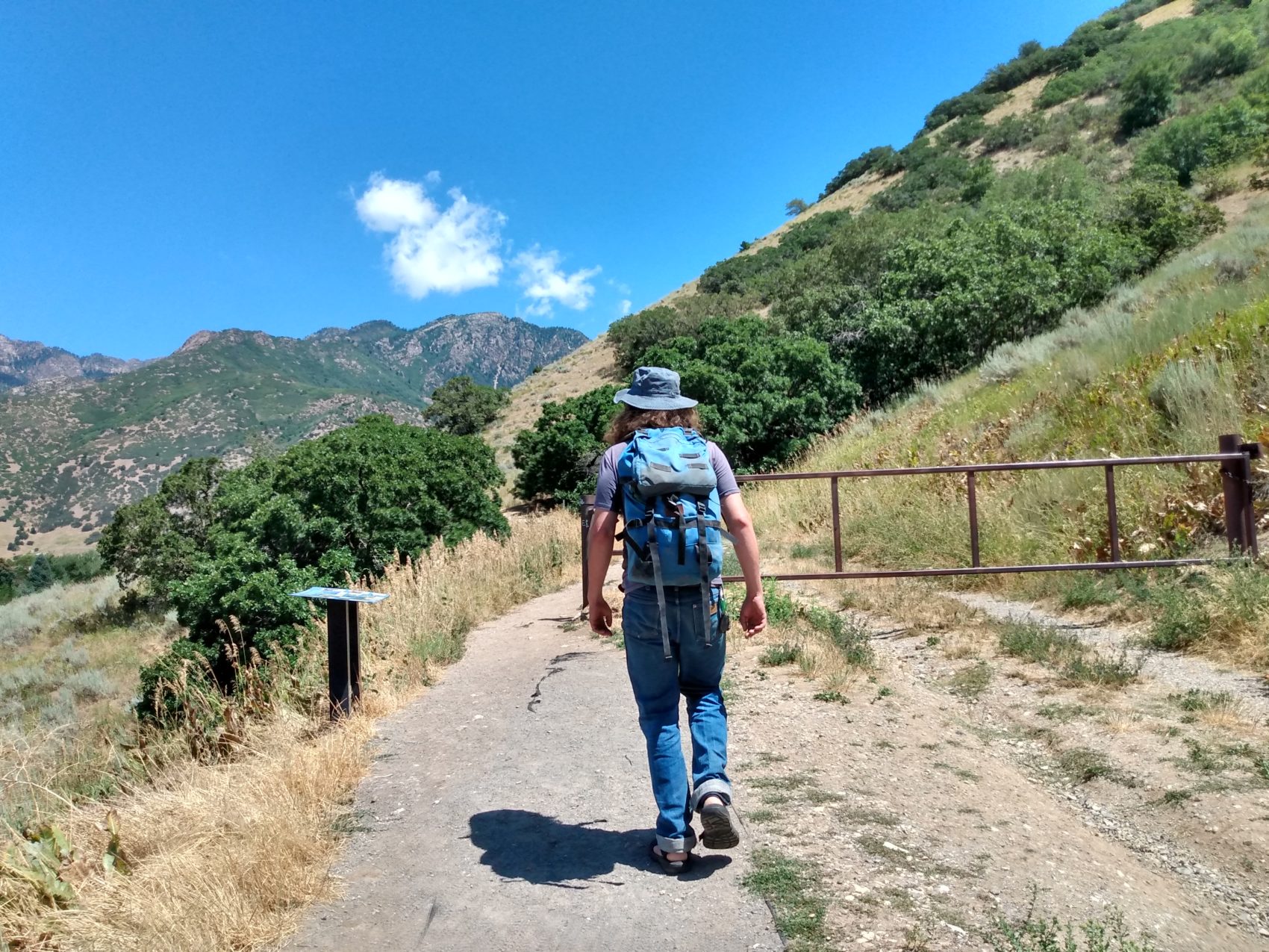 Ferguson Canyon trail 