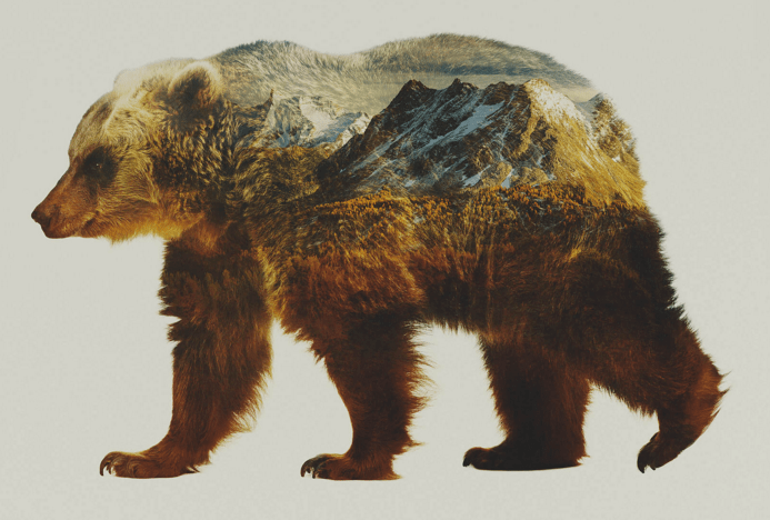 wild, grizzly, jumbo valley