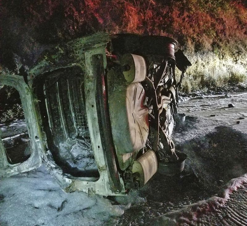 bear, wildfire, lands on car, California