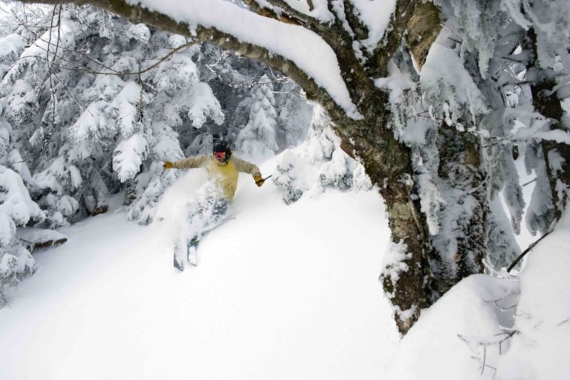 paradise, Vermont, tree skiing