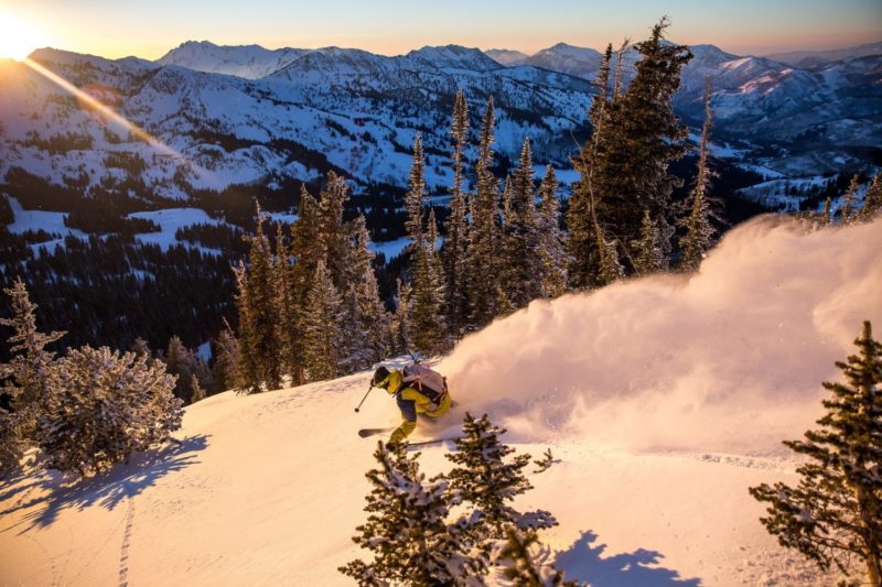 pow day, Brighton resort, skier