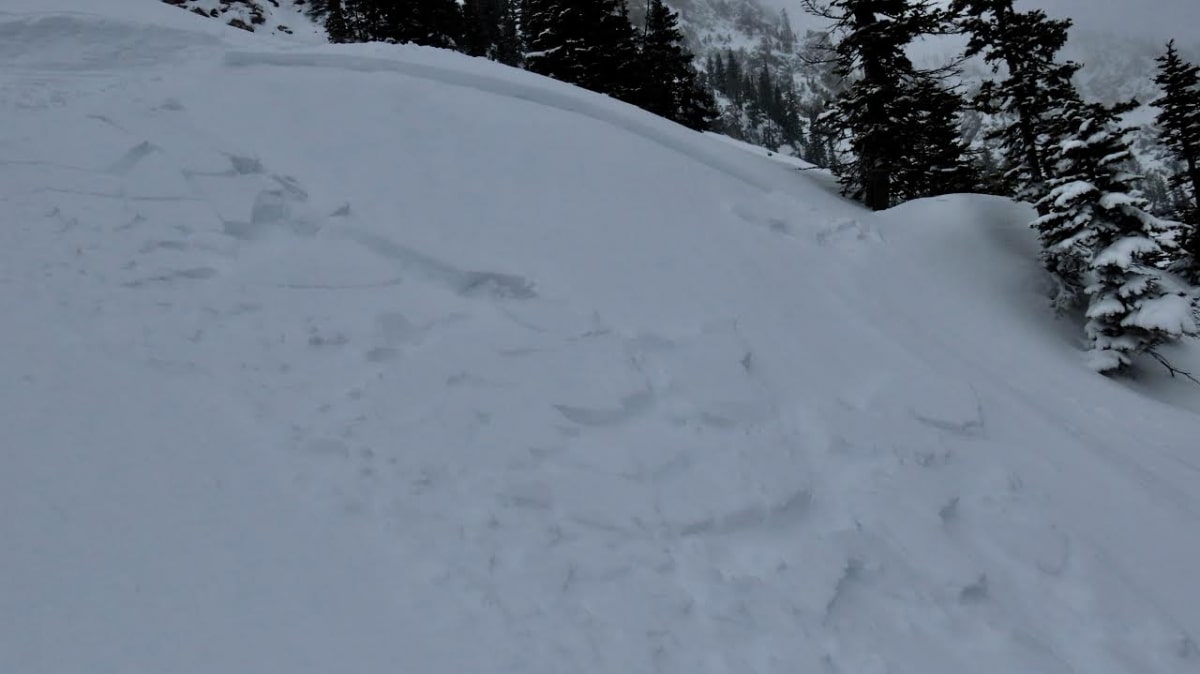 Bridger bowl, montana, avalanche, skier triggered,