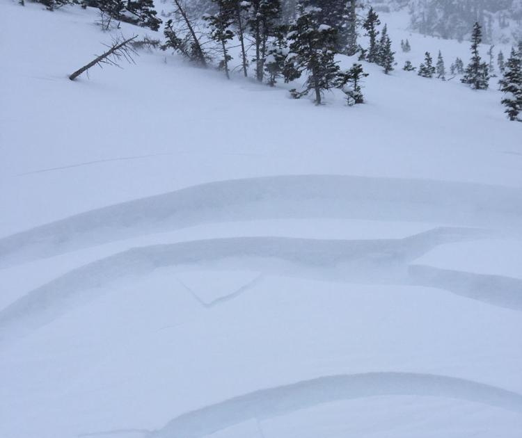 Bridger bowl, montana, avalanche, skier triggered,
