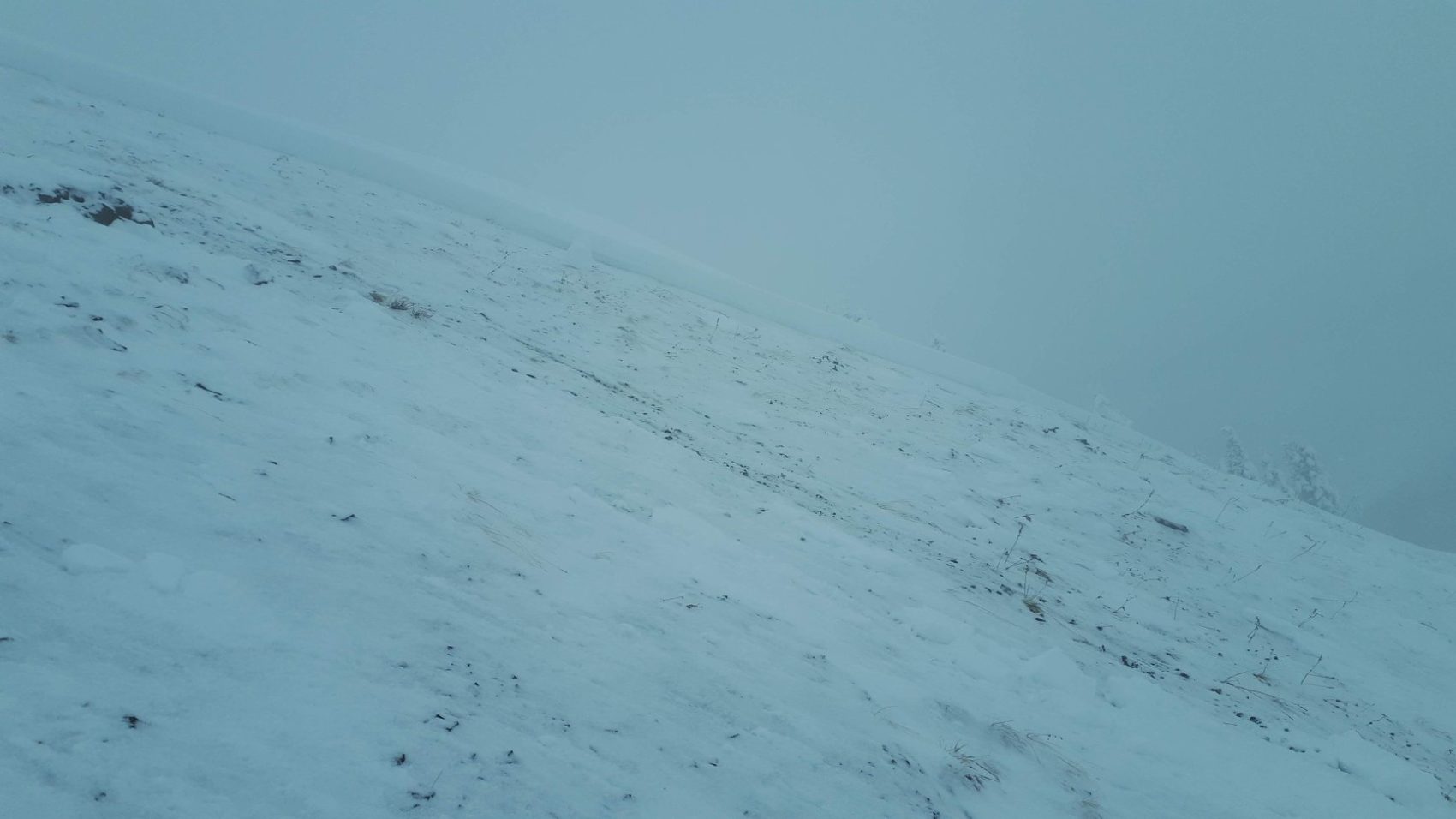 avalanche, canada, bc, Idaho peak, skier triggered