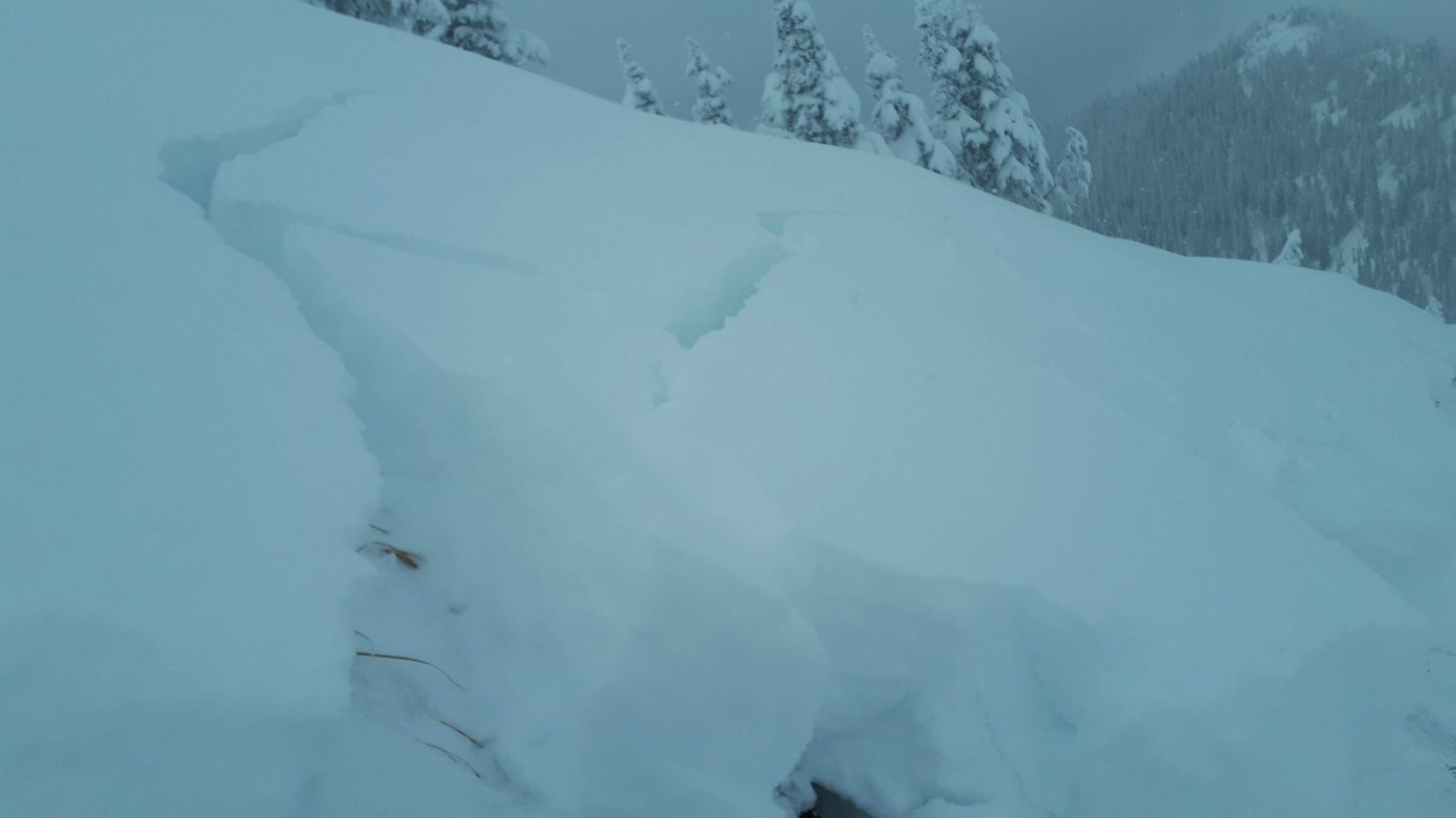 avalanche, canada, bc, Idaho peak, skier triggered