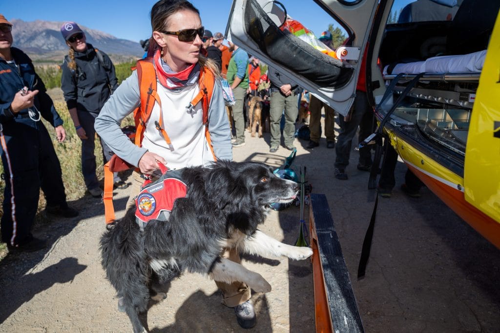 avalanche, dogs, training, summit county, colorado