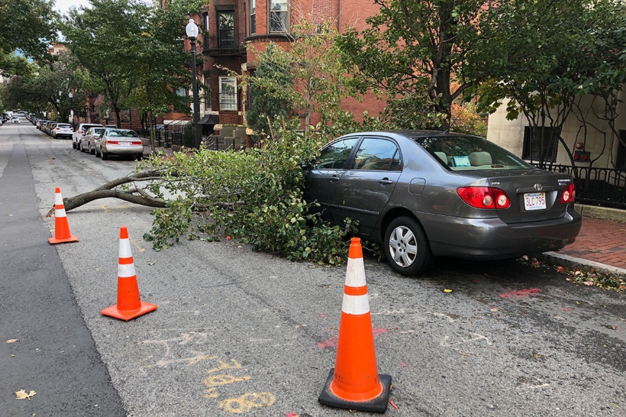 Bomb cyclone causing damage. 