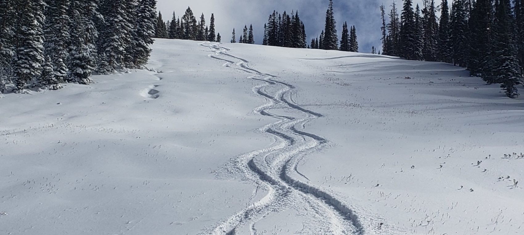 monarch, colorado, snow