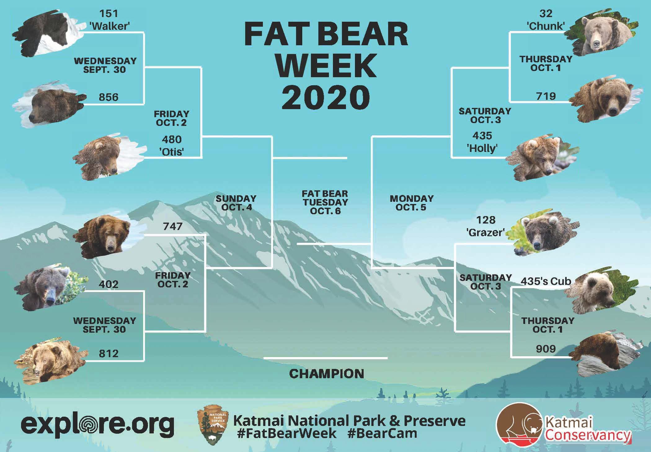 Fat Bear Week is HERE! Submit Your Vote to Crown the Fattest Bear in