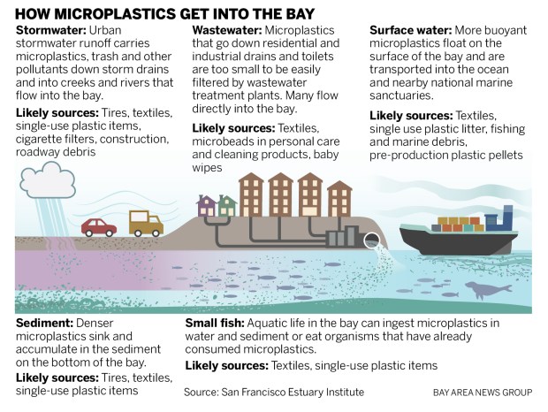 plastic, San Francisco, California, pollution