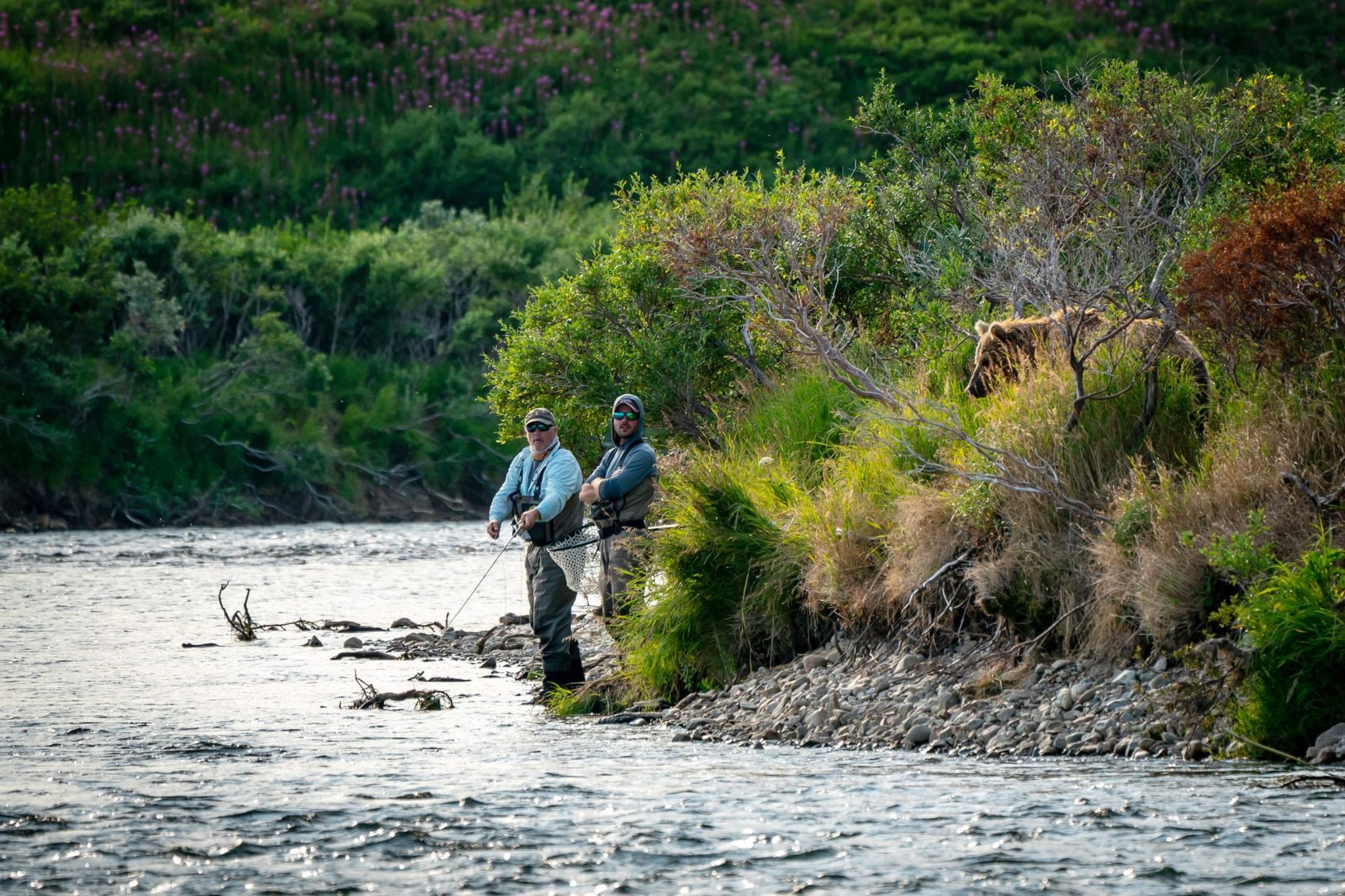 bear, Alaska, grizzly, fishermen,