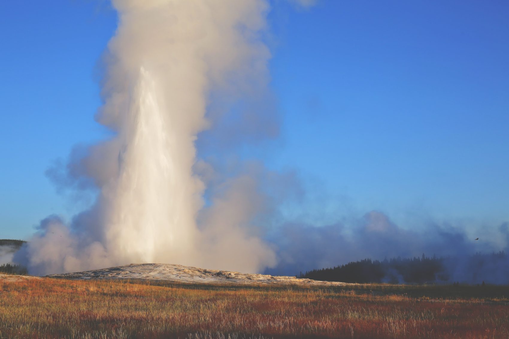 old faithful, geyser, Yellowstone,