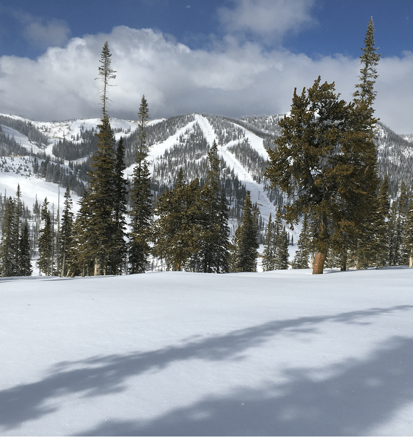 monarch, colorado, snow