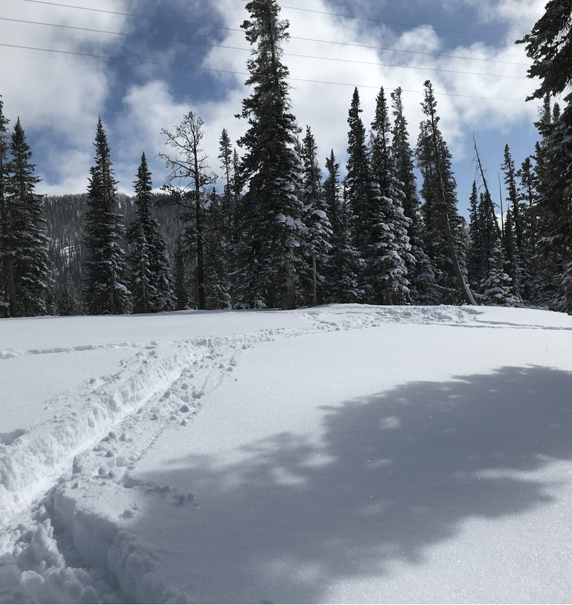 monarch, colorado, snow