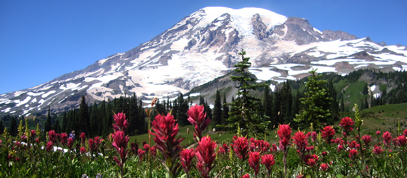 rainier, washington