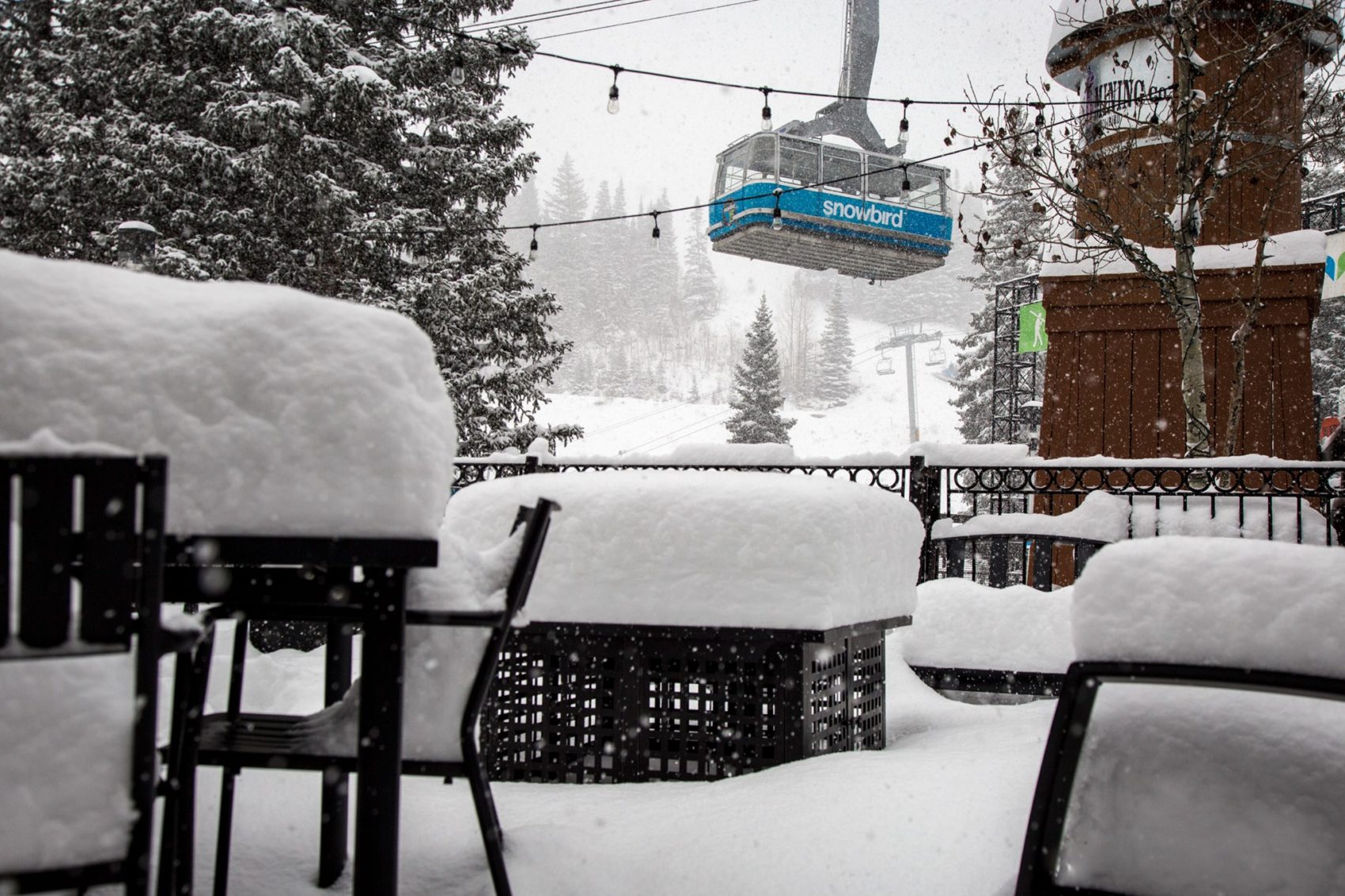 alta snow totals