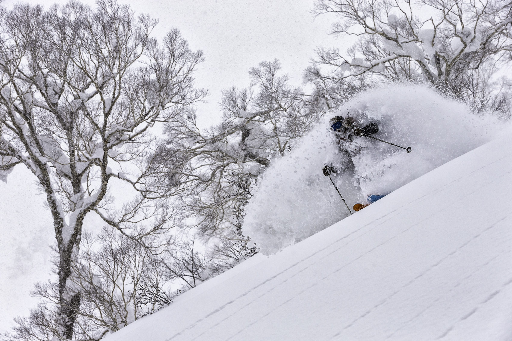 Japan Powder skiing