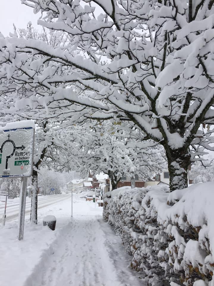 New snow in Austria