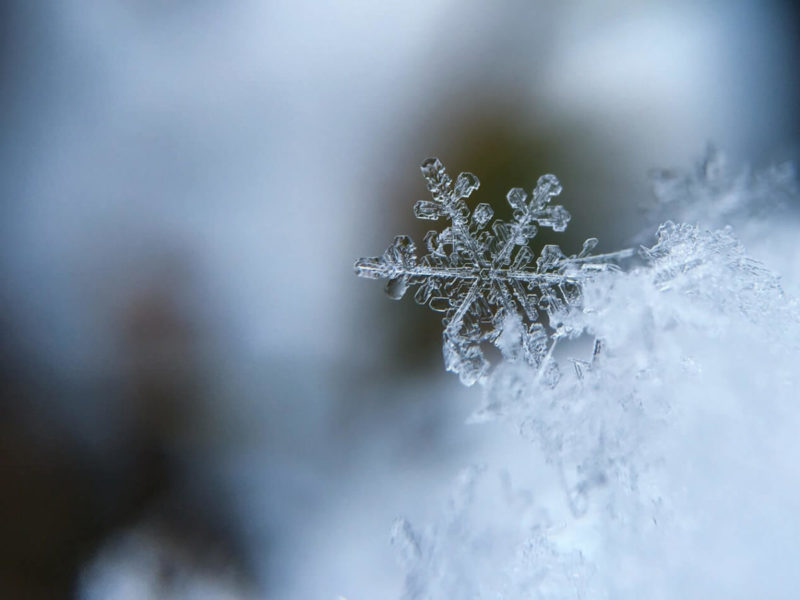 How history's first photos of snowflakes were made