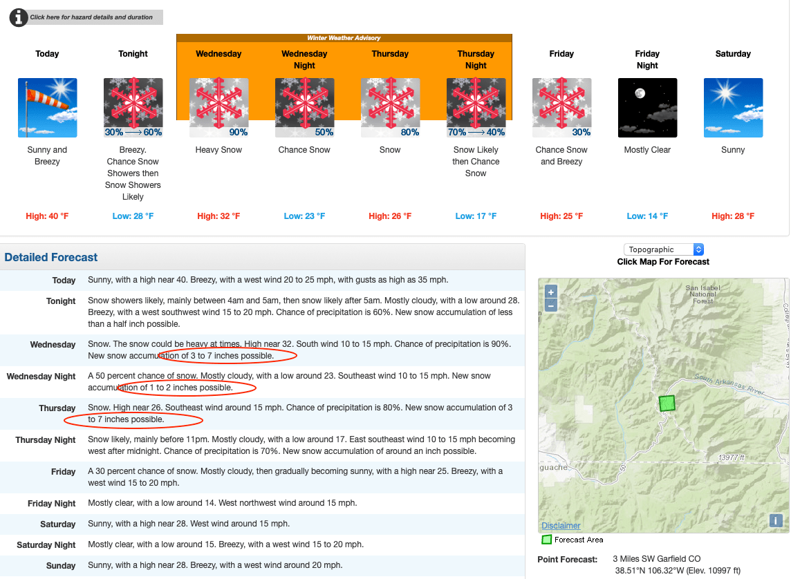 monarch, forecast