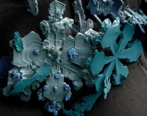 Snow Crystals close-up