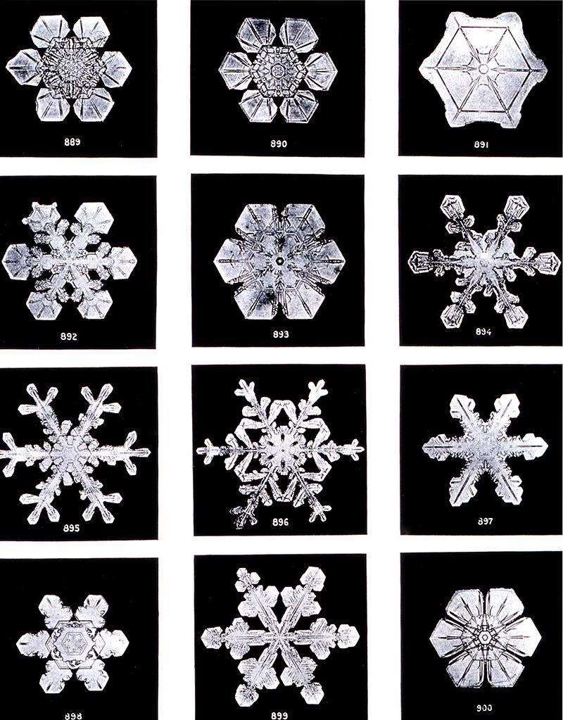 Bentley called snowflakes 'ice flowers.'