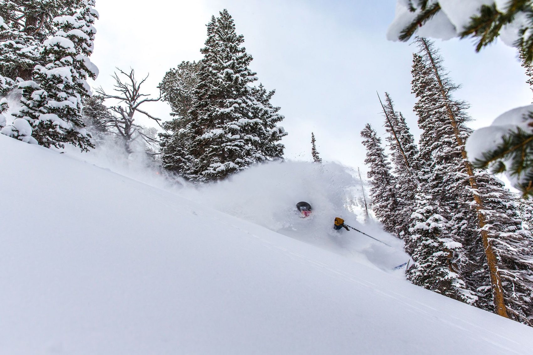 Powder skiing at Solitude 