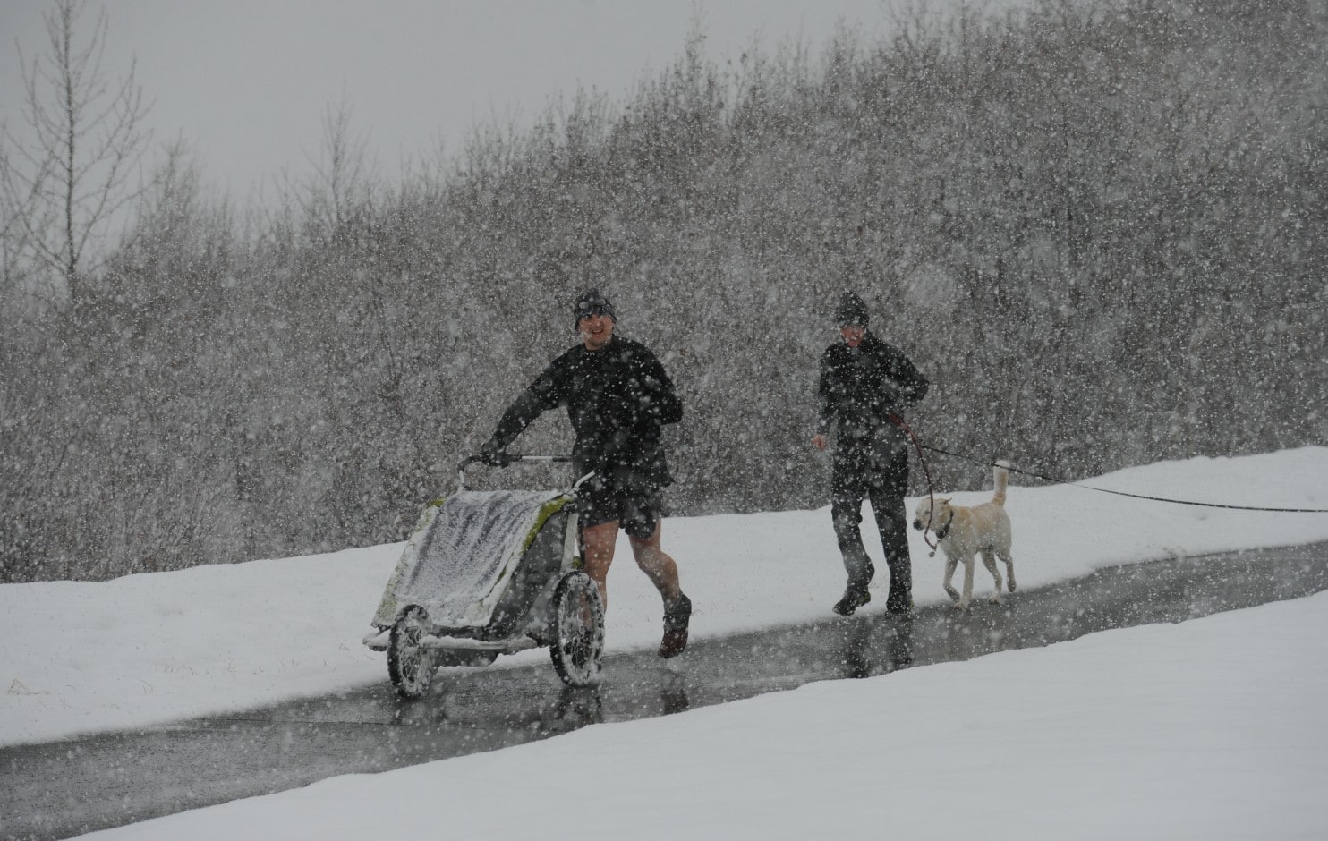 Alaska weather in November