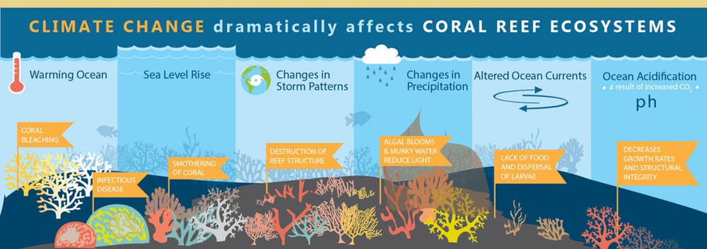 Is Climate Change Increasing El Niño Patterns? - SnowBrains