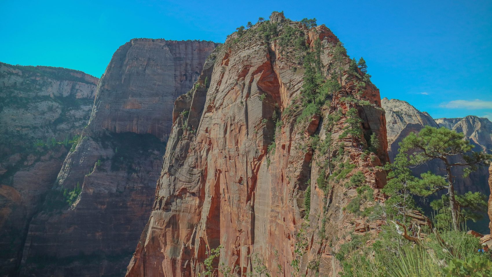 angels landing, Zion national park, Utah