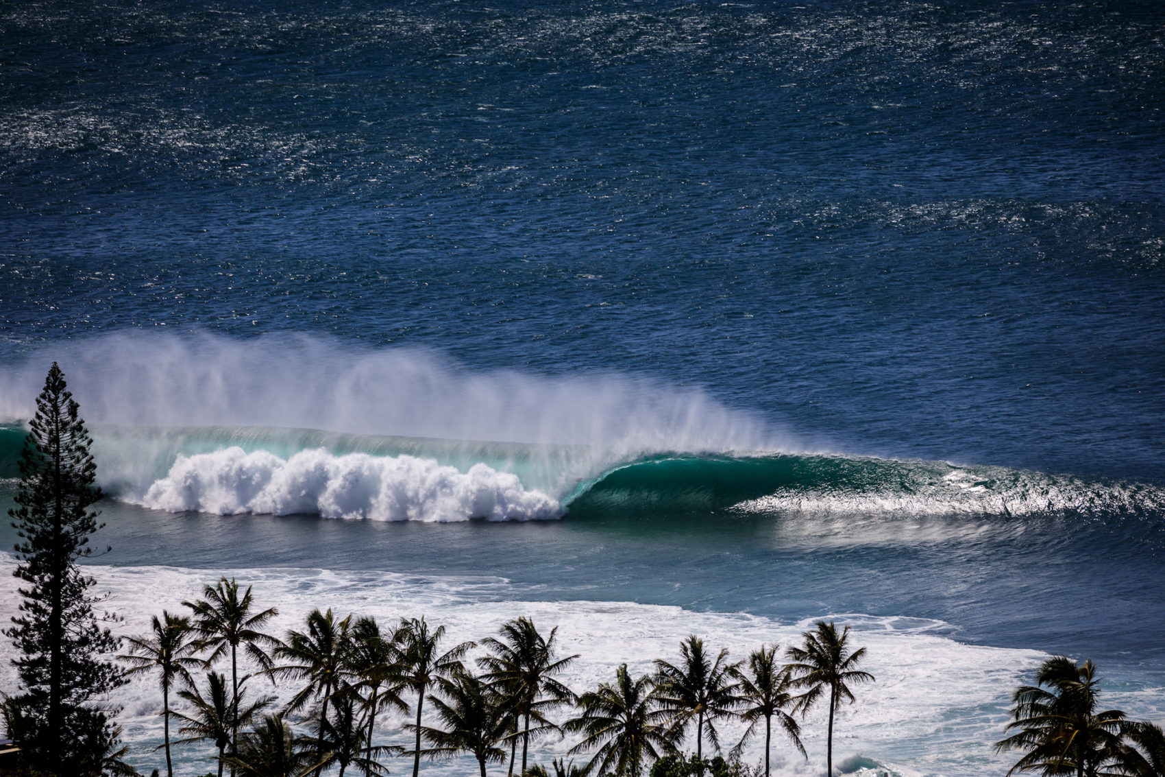 Hawaii Surf