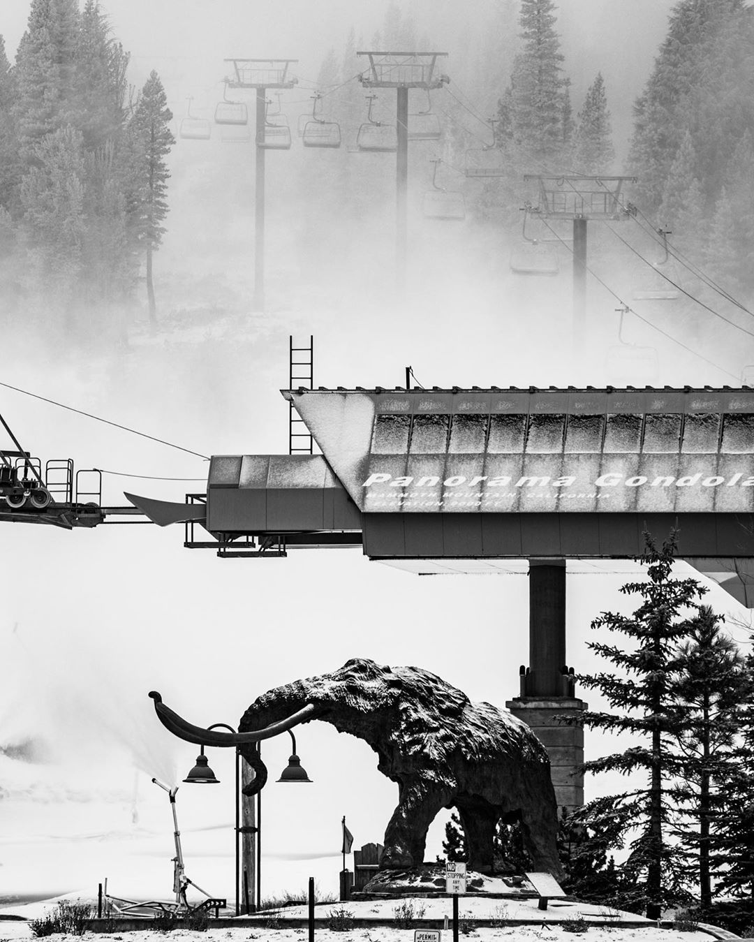 california, snow