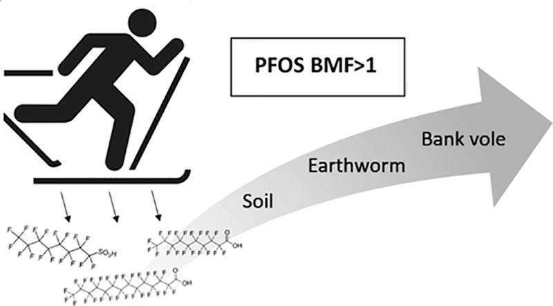 pollution chain from products to living things and food