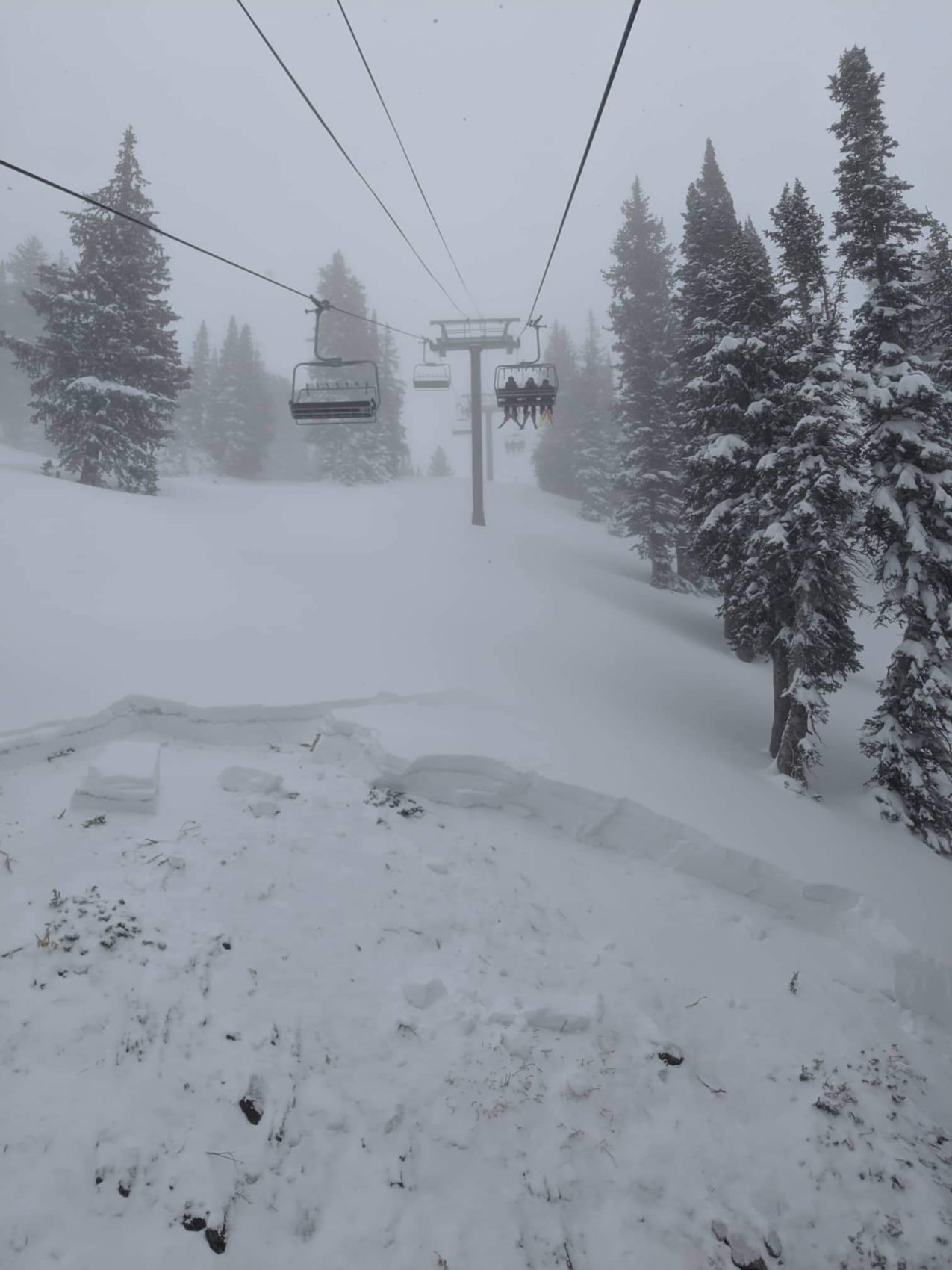 Alta opening day slab avalanche