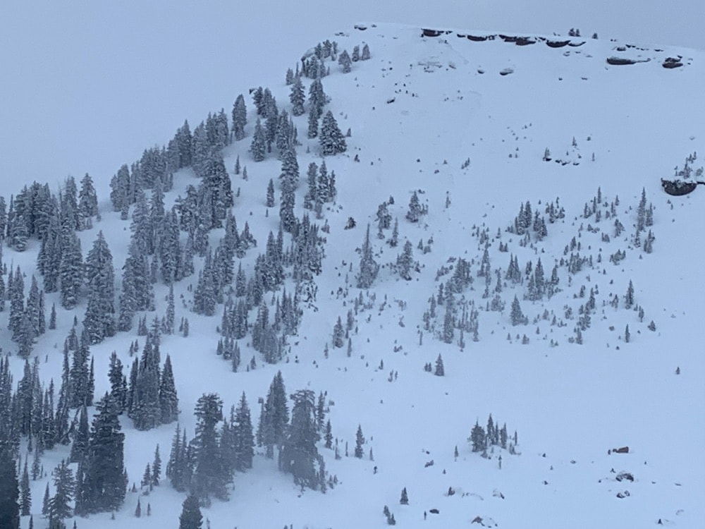 grand Targhee, avalanche, backcountry, skier buried