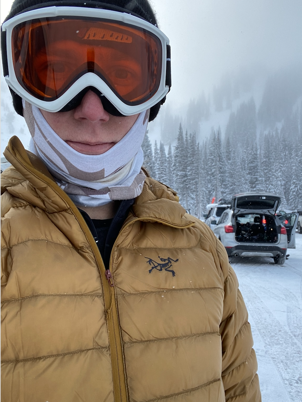 Gear Review: Arc'teryx Cerium LT Hoody: Amazing Weight-to-Warmth Ratio -  SnowBrains