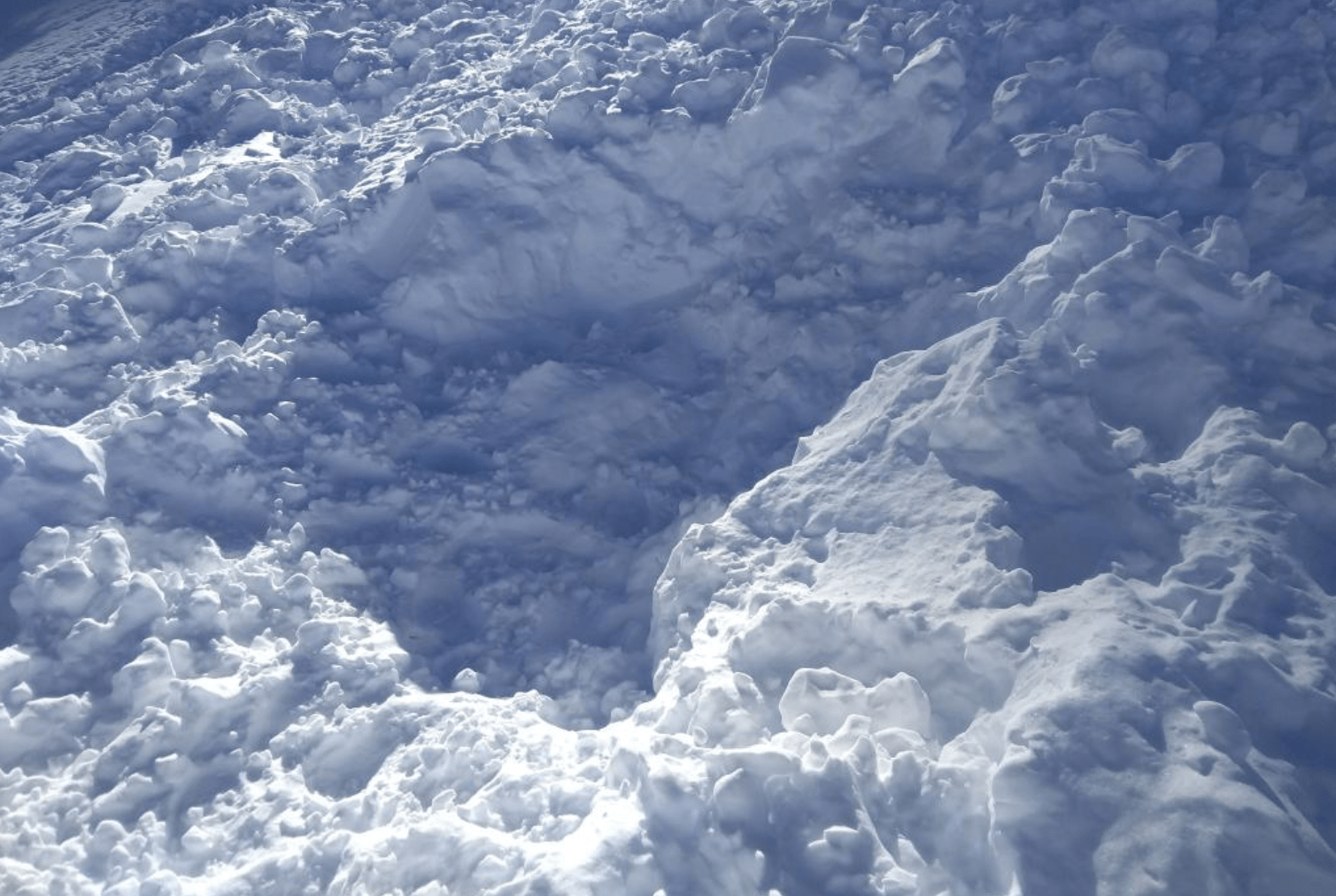 avalanche, california, snowboarder, rescued