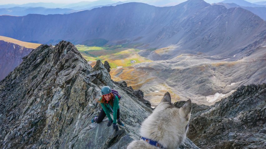 14er husky