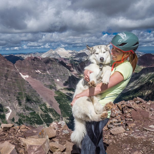 14er Dog