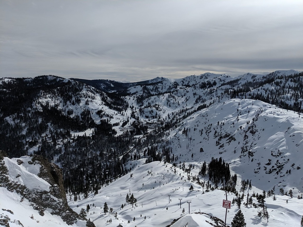 Alpine meadows