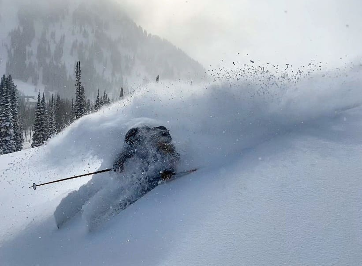 Alta Ski Area, UT Recieves 217" of Snow for Season, Over 1/3 of Last