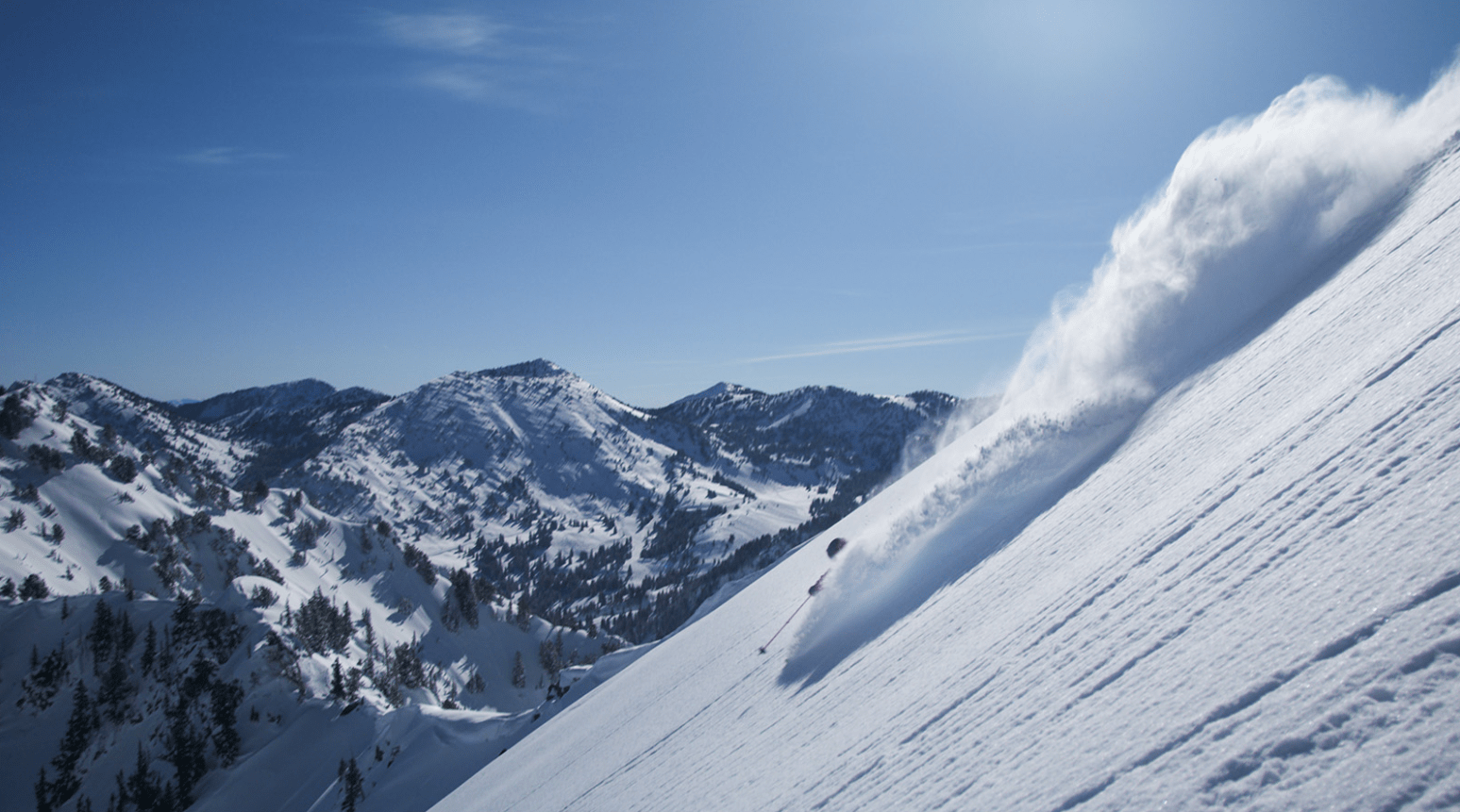 Scott, sam Cohen cottonwood, utah, alta