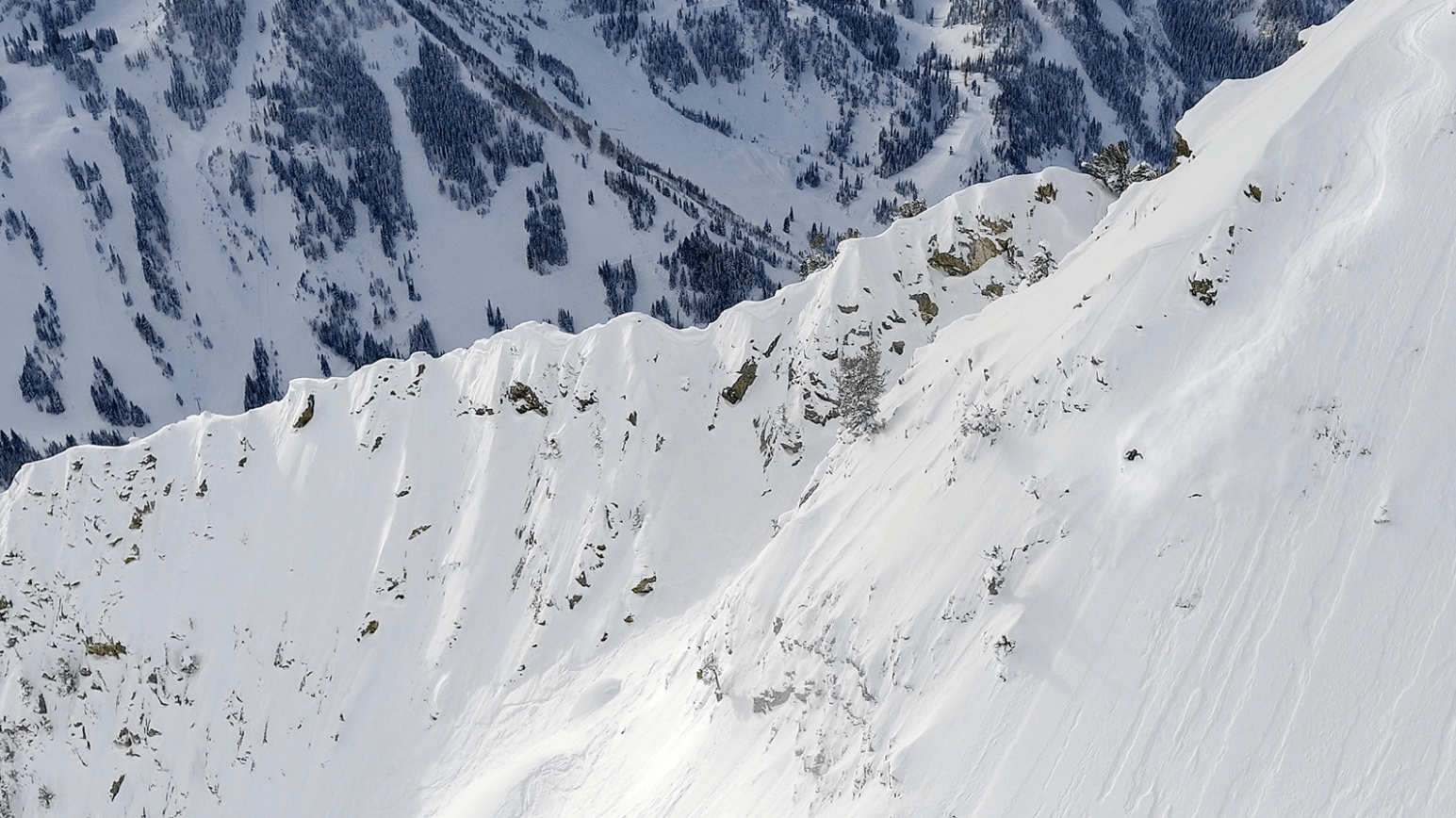 Scott, sam Cohen cottonwood, utah, alta