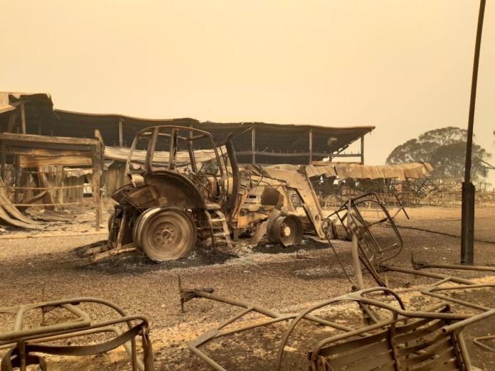 Selwyn, australia, nsw, wildfires