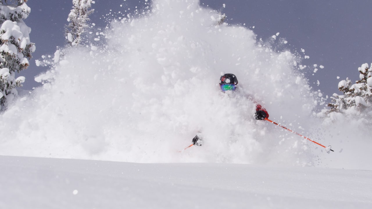 Scott, sam Cohen cottonwood, utah, alta