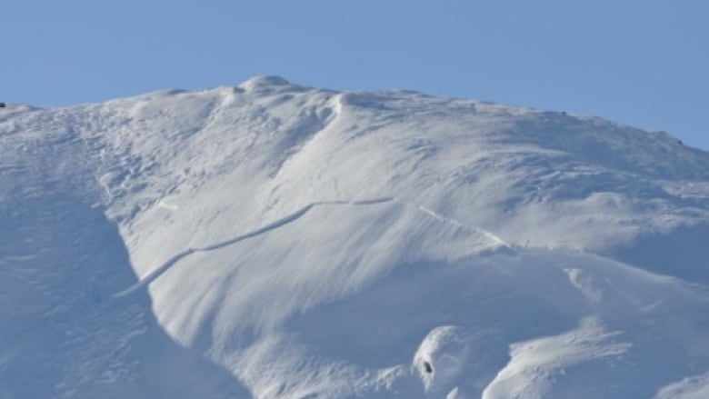 avalanche, canada