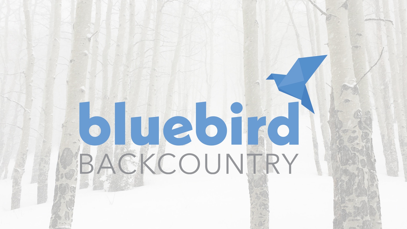 Bluebird 